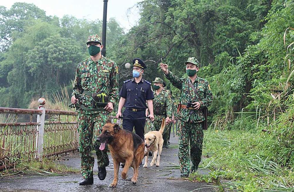  Tác  động tiêu cực của buôn lậu đối với thương mại biên giới